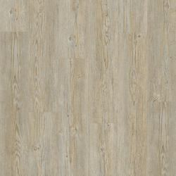 brushed pine grey (4V), Tarkett Starfloor Click (55)