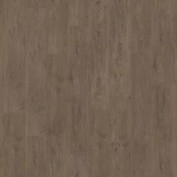 legacy pine / brown (0V), Tarkett Starfloor Click (55)